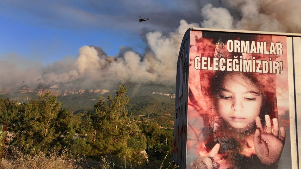 Orman yangınlarında 21 kişi tutuklandı
